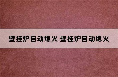 壁挂炉自动熄火 壁挂炉自动熄火